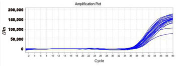 High-pressure homogenizer Test Report 5